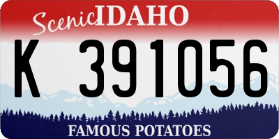 ID license plate K391056