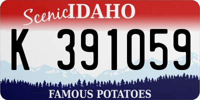 ID license plate K391059