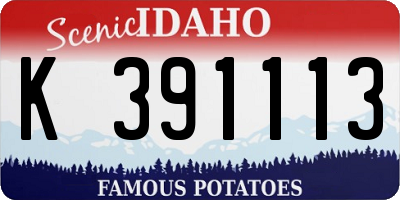 ID license plate K391113