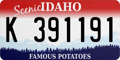 ID license plate K391191