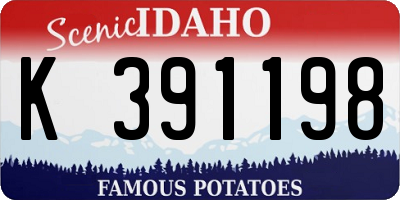ID license plate K391198