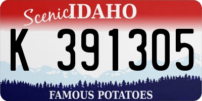ID license plate K391305