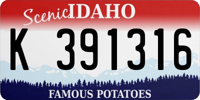 ID license plate K391316