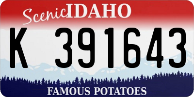 ID license plate K391643