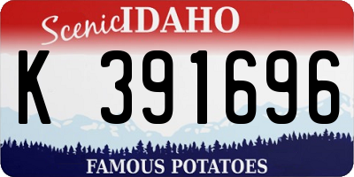 ID license plate K391696