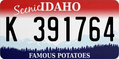 ID license plate K391764
