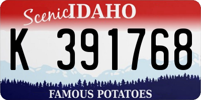 ID license plate K391768