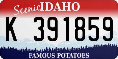 ID license plate K391859