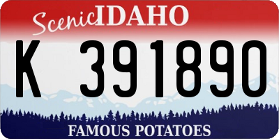 ID license plate K391890