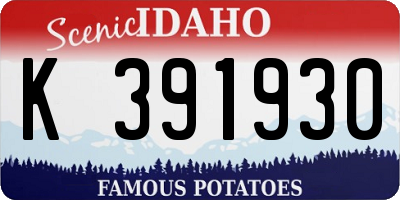 ID license plate K391930