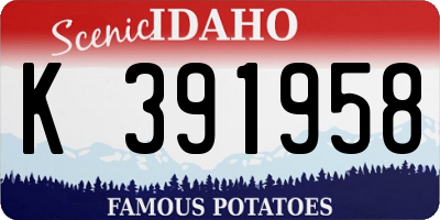 ID license plate K391958