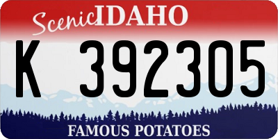 ID license plate K392305