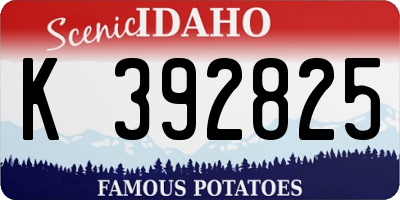 ID license plate K392825