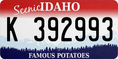 ID license plate K392993