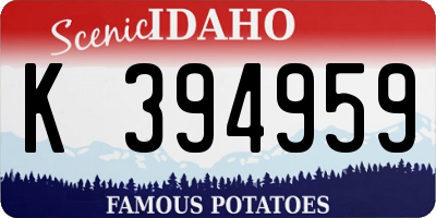 ID license plate K394959