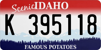 ID license plate K395118