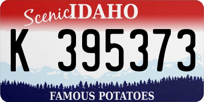 ID license plate K395373