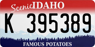 ID license plate K395389