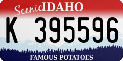ID license plate K395596