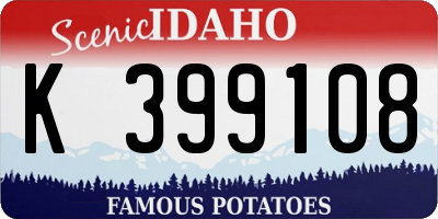 ID license plate K399108