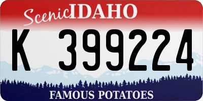 ID license plate K399224