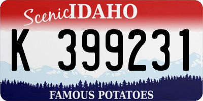 ID license plate K399231