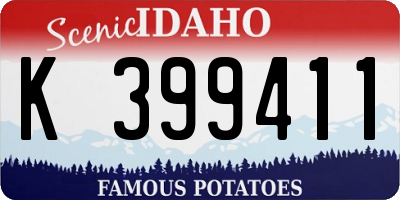 ID license plate K399411