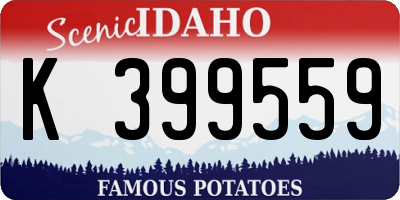 ID license plate K399559