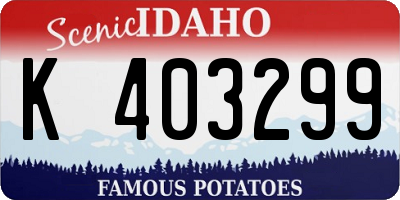 ID license plate K403299