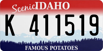 ID license plate K411519