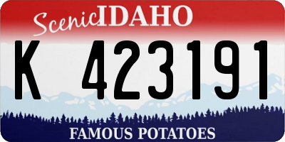 ID license plate K423191