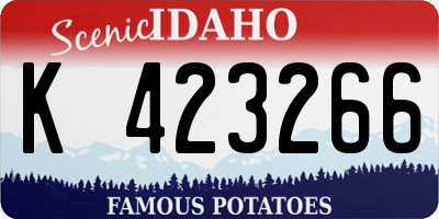 ID license plate K423266