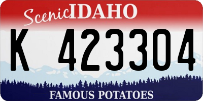 ID license plate K423304