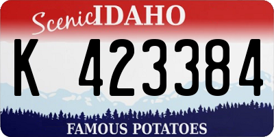ID license plate K423384