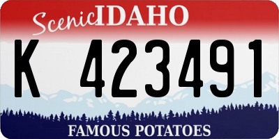 ID license plate K423491