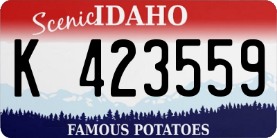ID license plate K423559
