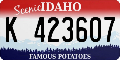 ID license plate K423607