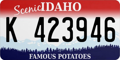 ID license plate K423946