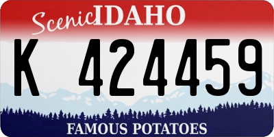 ID license plate K424459