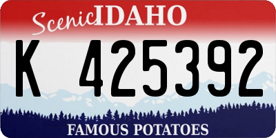 ID license plate K425392