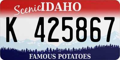 ID license plate K425867