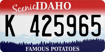 ID license plate K425965