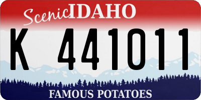 ID license plate K441011