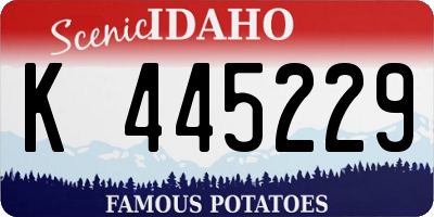 ID license plate K445229