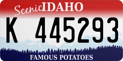 ID license plate K445293
