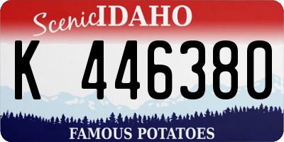 ID license plate K446380