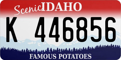ID license plate K446856