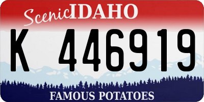 ID license plate K446919