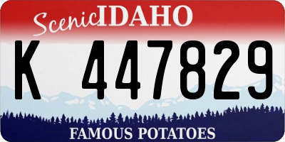 ID license plate K447829