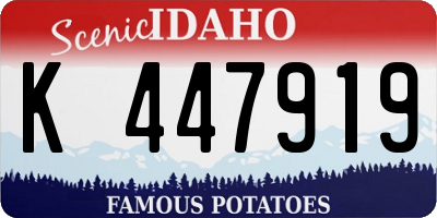 ID license plate K447919